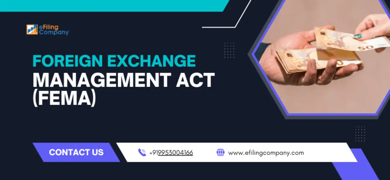 FEMA in India-Efiling Company